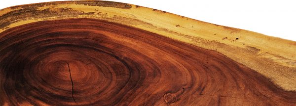 Cabeceras y Camas de Madera Parota | Modernos y Artesanales | Mexico